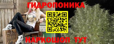 МДПВ Старая Купавна